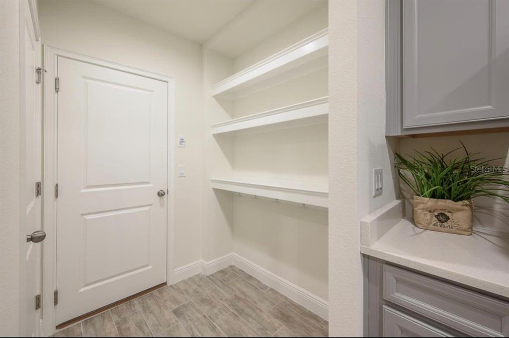 10128 Newel Valley Loop Riverview, FL 33569 - Photo 5 of 26 a white room with a potted plant
