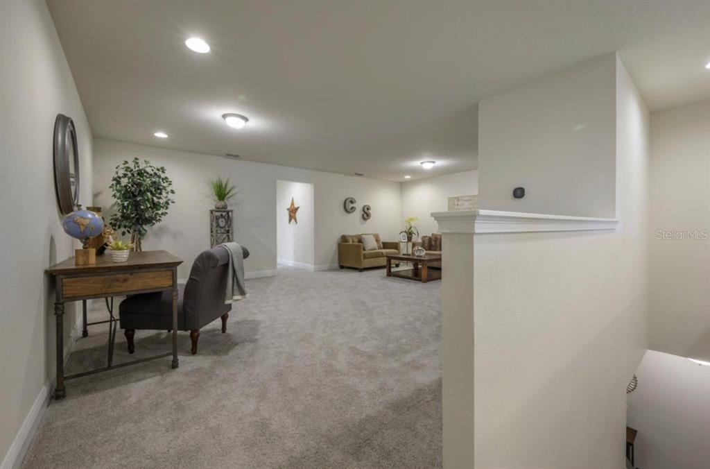 10128 Newel Valley Loop Riverview, FL 33569 - Photo 8 of 26 a living room with furniture and a potted plant
