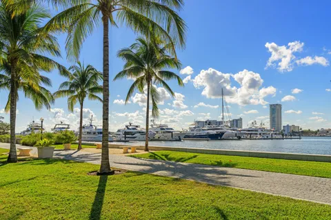 a view of a swimming pool with a lawn chairs and palm tree