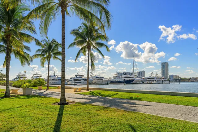 a view of a swimming pool with a lawn chairs and palm tree