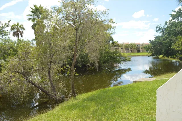 a body of water with a tree in the background