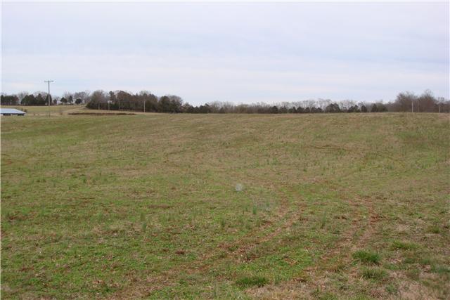 116 Virgil Crowell Road Unionville, TN 37180 - Photo 8 of 10 Gallery Image 8