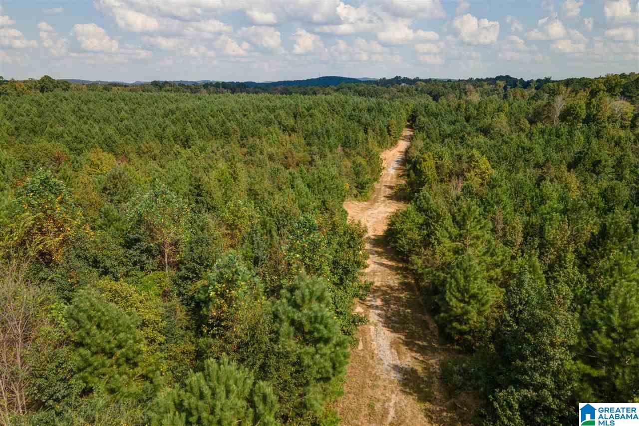 8967 Highway 55, Unit 2 & 3 Sterrett, AL 35147 - Photo 10 of 23