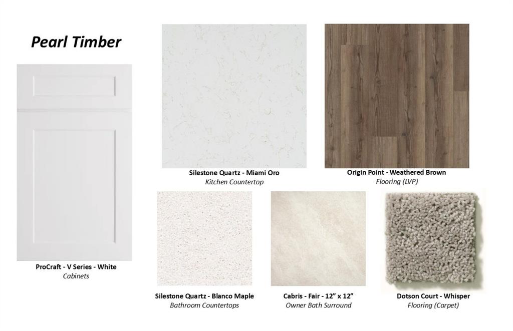1246 Tramore Way Princeton, TX 75407 - Photo 2 of 6 Design Selections