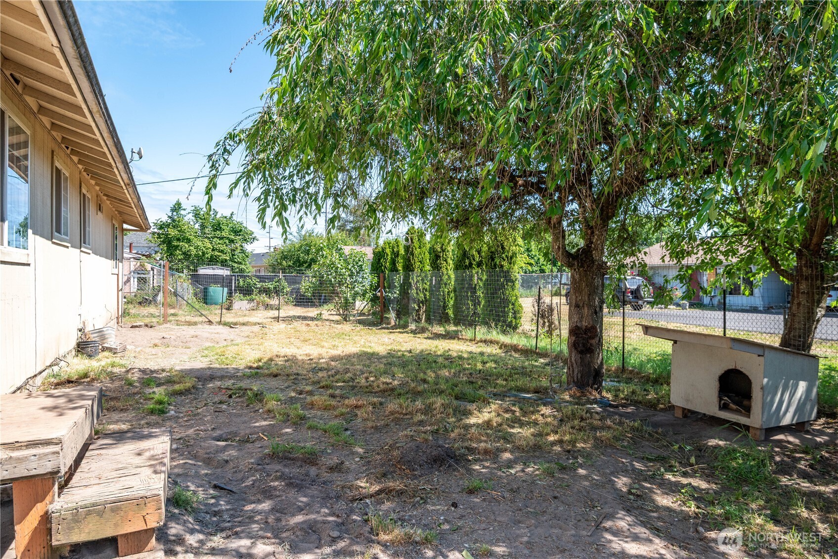 642 5th Avenue Southwest Castle Rock, WA 98611 - Photo 27 of 33 a view of a yard with tree s