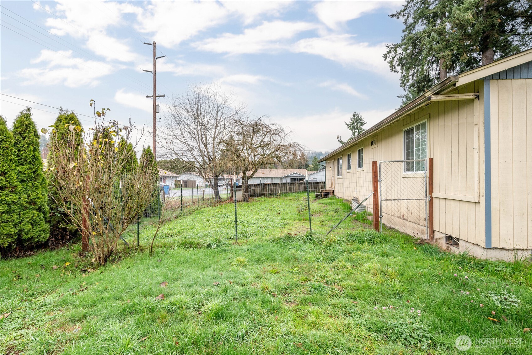 642 5th Avenue Southwest Castle Rock, WA 98611 - Photo 32 of 33 a view of a backyard with plants and a large tree
