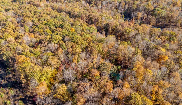 $220,000 | 1137 Cherokee Road, Waynesboro, TN 38485