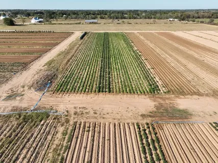 an aerial view of water body with boats and trees all around