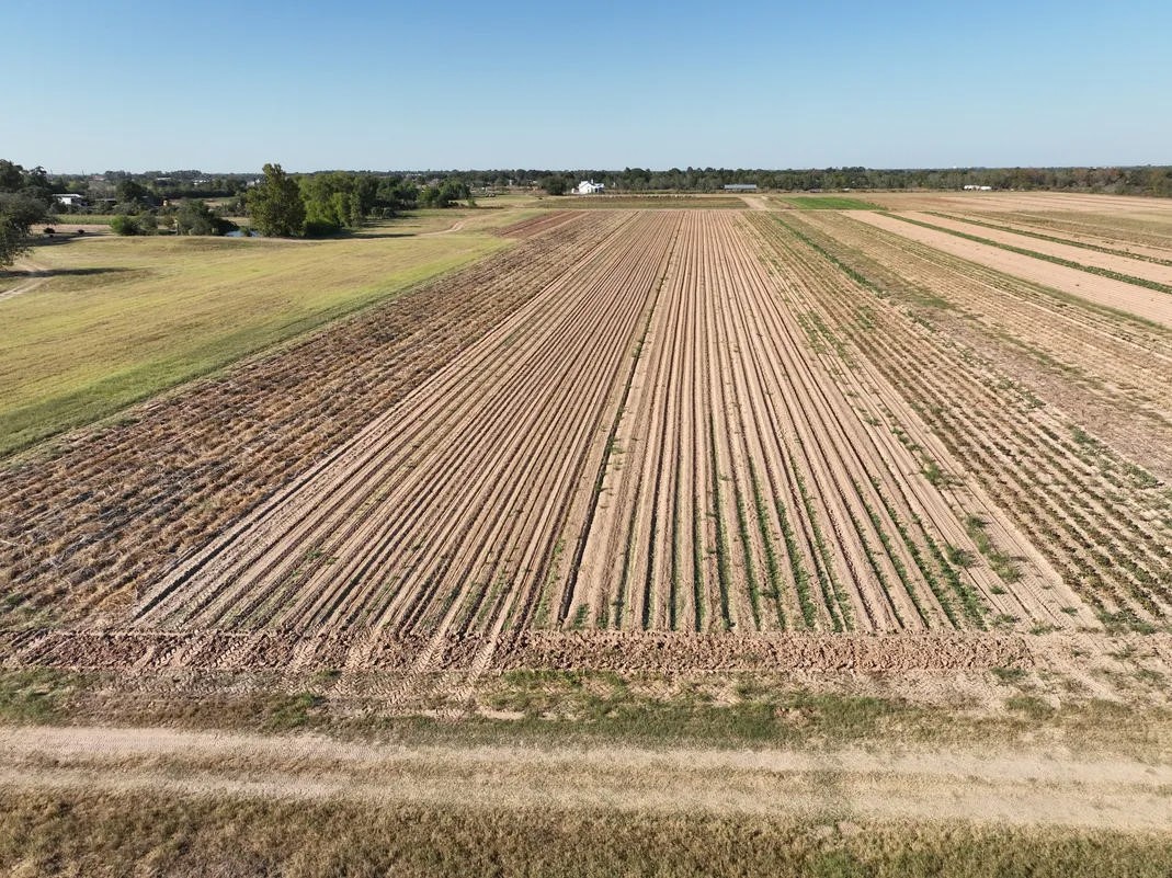 14134 Penick Road Waller, TX 77484 - Photo 16 of 20 a view of an ocean beach