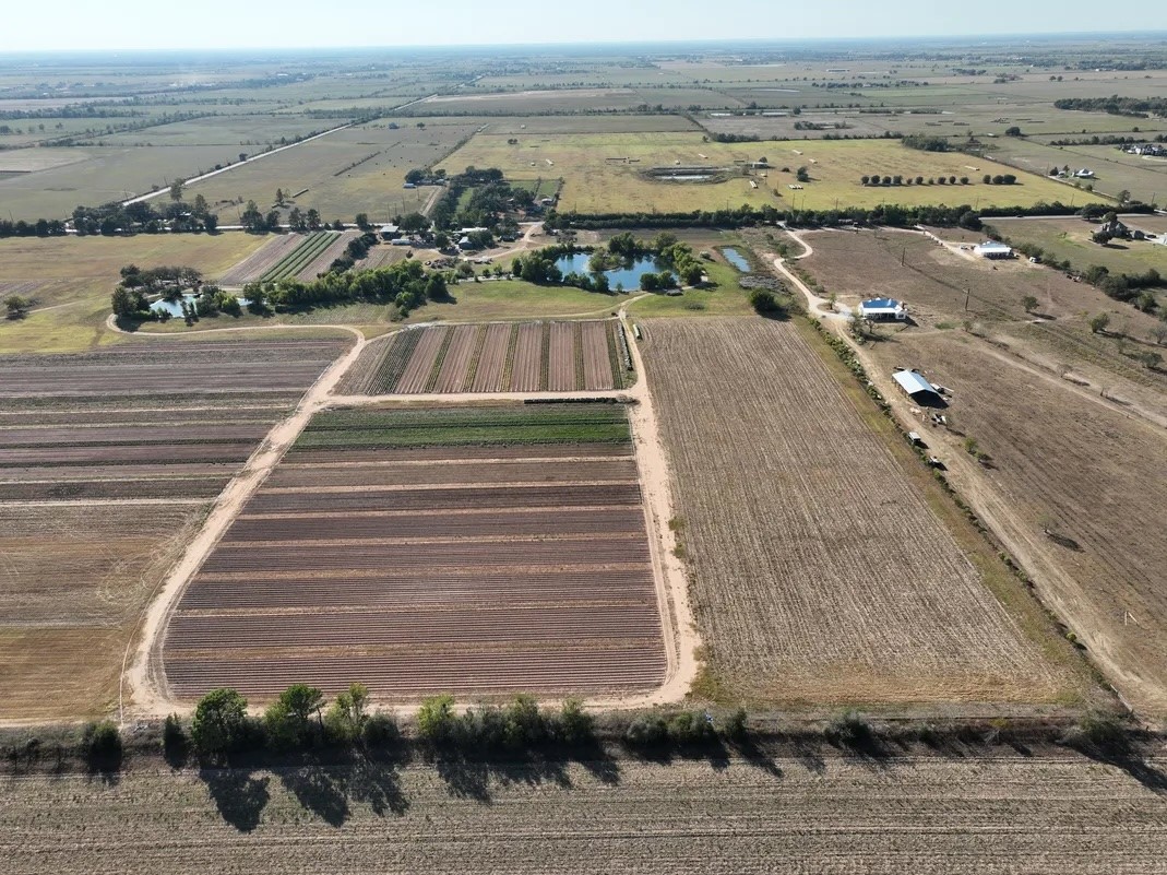 14134 Penick Road Waller, TX 77484 - Photo 7 of 20 a view of a terrace with outdoor space