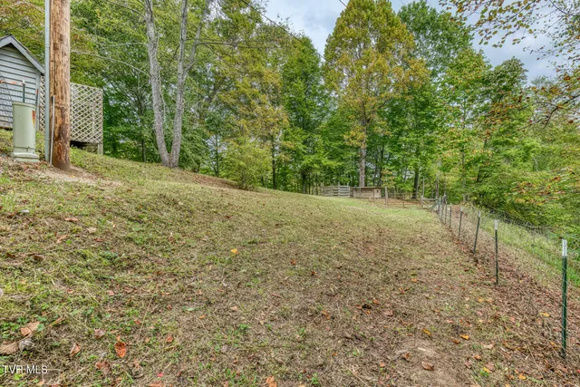 $569,000 | 160 Conley Stevens Road, Roan Mountain, TN 37687