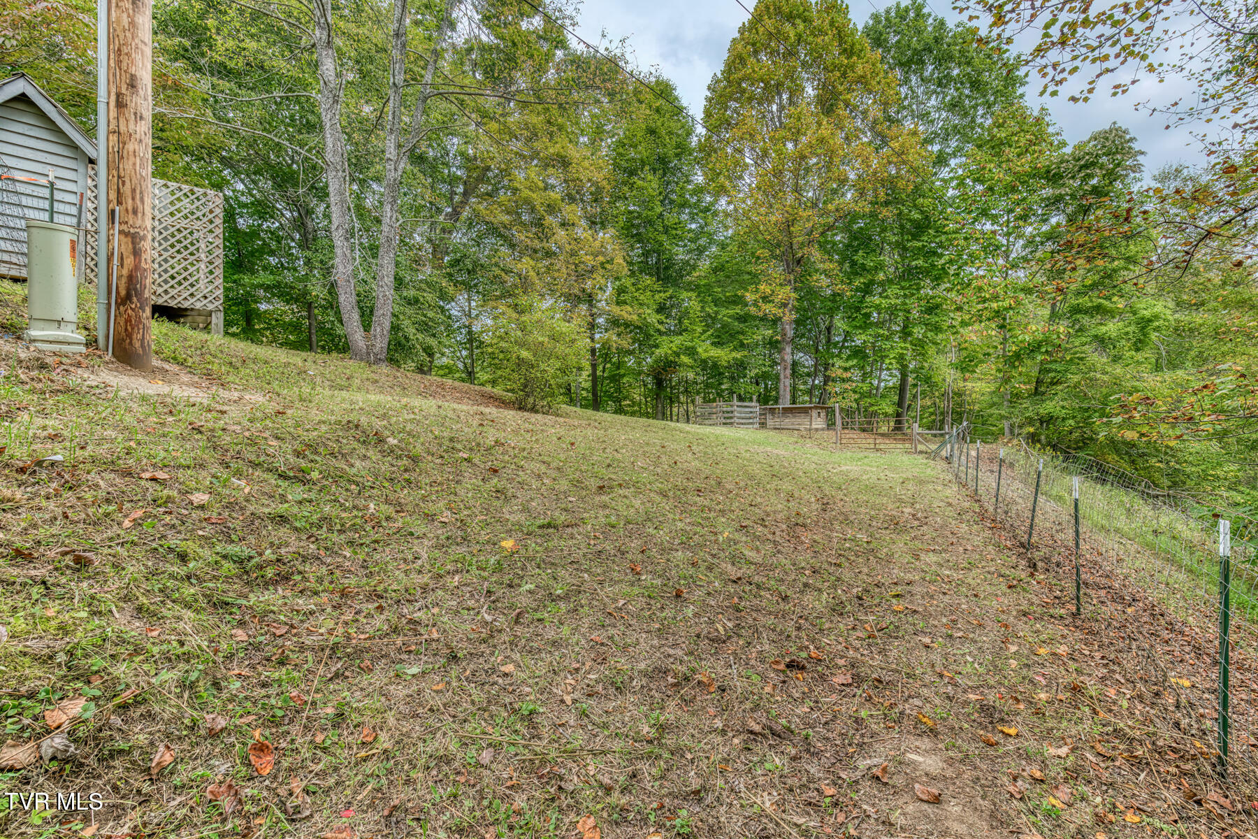 160 Conley Stevens Road Roan Mountain, TN 37687 - Photo 45 of 68 160 Conley Stevens Rd-55