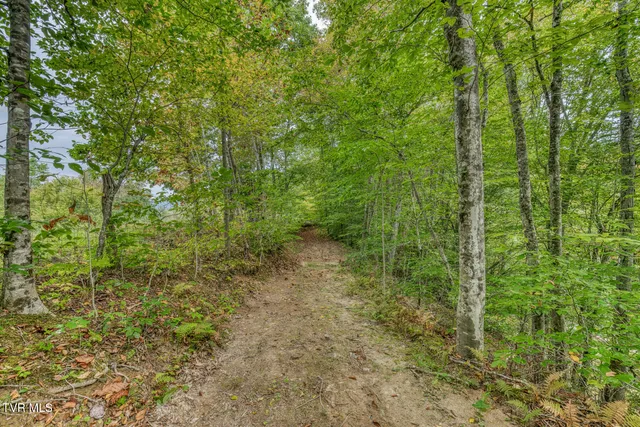 $569,000 | 160 Conley Stevens Road, Roan Mountain, TN 37687