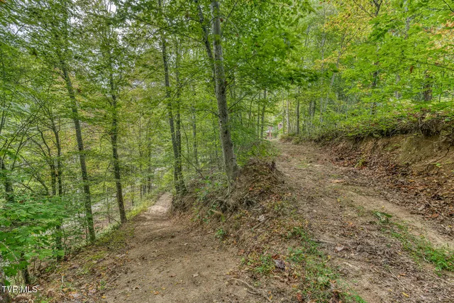 $569,000 | 160 Conley Stevens Road, Roan Mountain, TN 37687