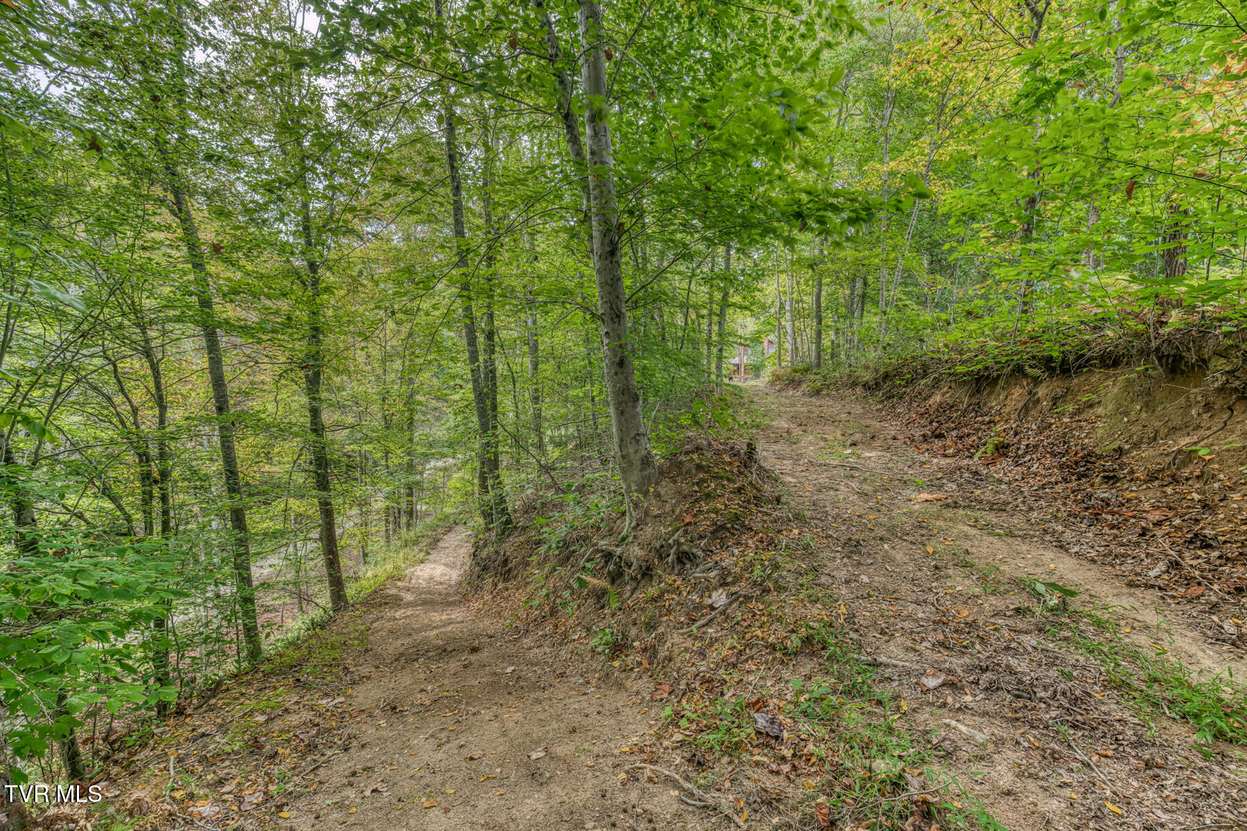 160 Conley Stevens Road Roan Mountain, TN 37687 - Photo 49 of 68 160 Conley Stevens Rd-59