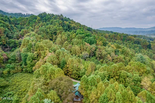 $569,000 | 160 Conley Stevens Road, Roan Mountain, TN 37687