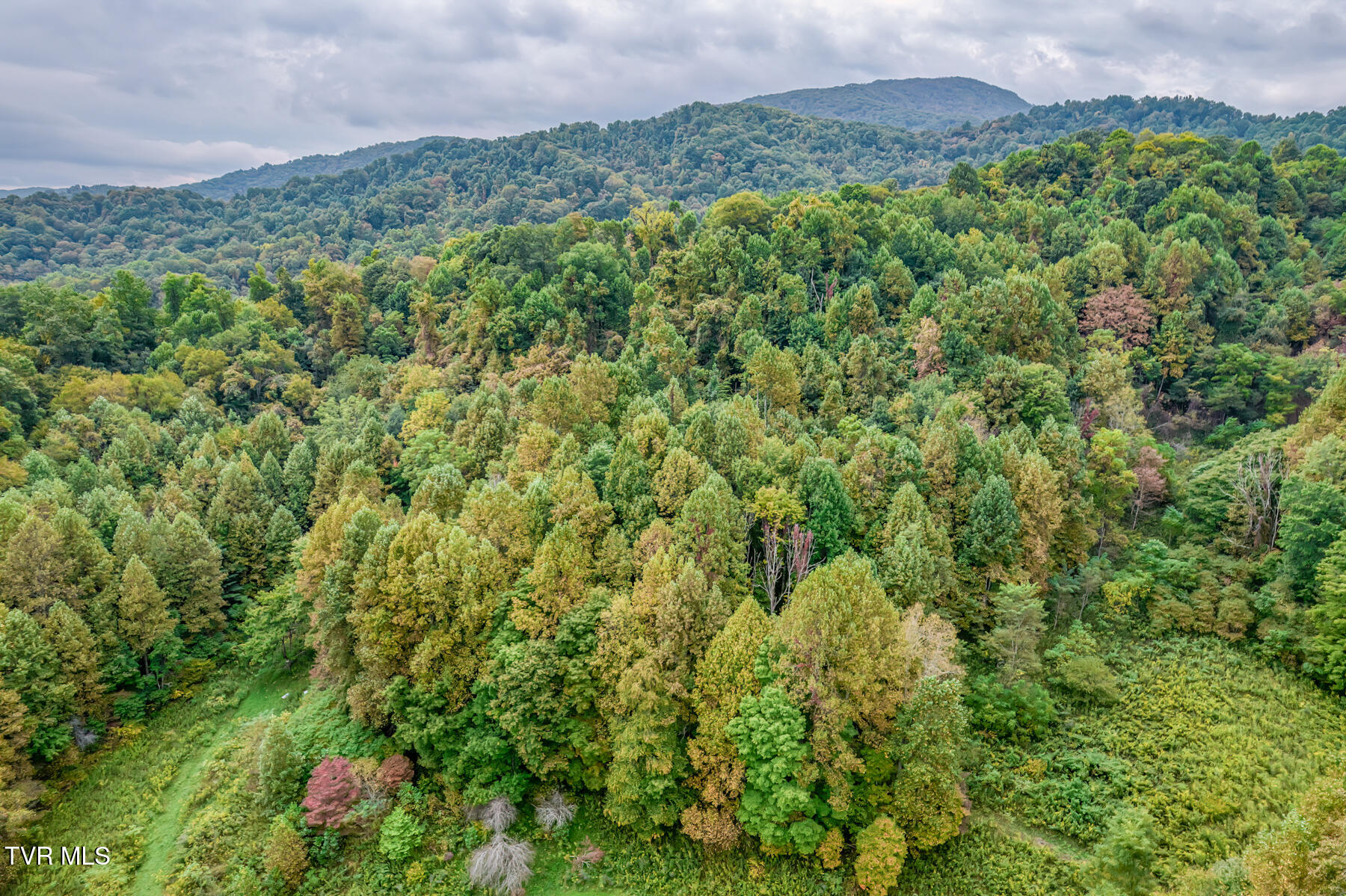 160 Conley Stevens Road Roan Mountain, TN 37687 - Photo 59 of 68 160 Conley Stevens Rd-64