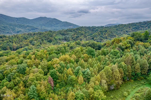 $569,000 | 160 Conley Stevens Road, Roan Mountain, TN 37687