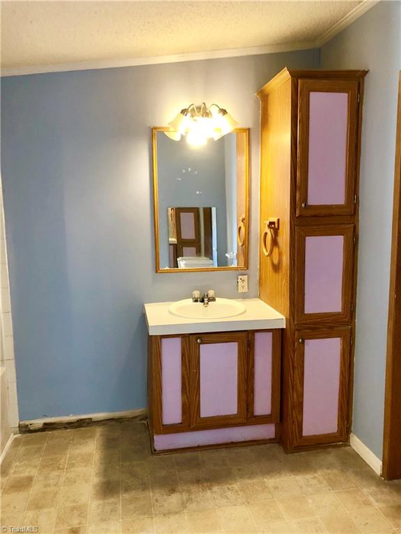 1595 Langley Loop Road Staley, NC 27355 - Photo 10 of 17 Master bathroom
