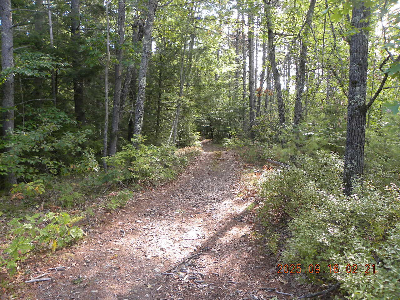 Tbd Tbd 23rd Street Shapleigh, ME 04076 - Photo 3 of 11 DSCN9431