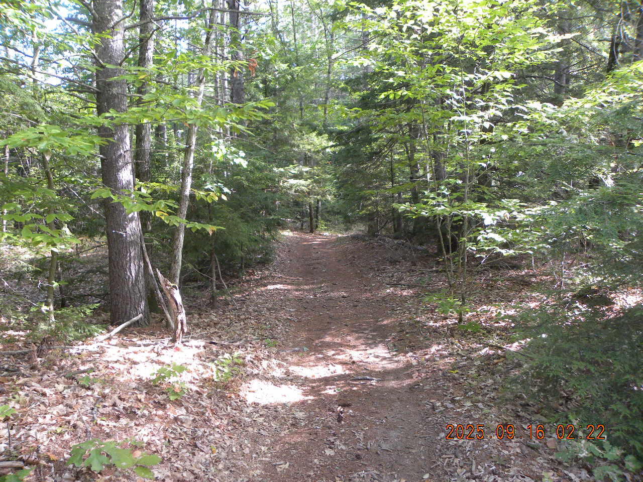 Tbd Tbd 23rd Street Shapleigh, ME 04076 - Photo 5 of 11 DSCN9433