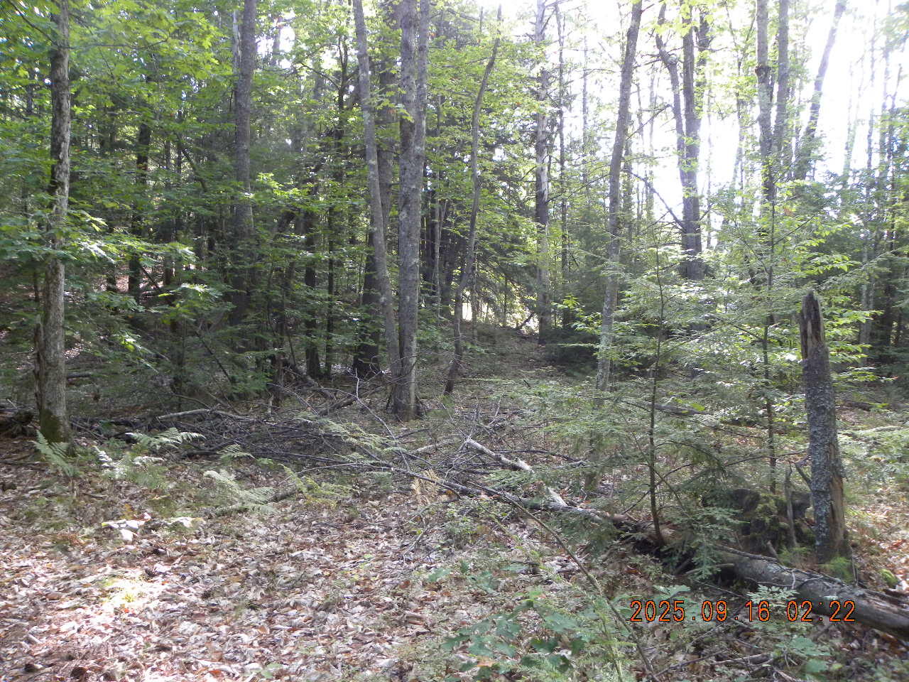 Tbd Tbd 23rd Street Shapleigh, ME 04076 - Photo 6 of 11 DSCN9434