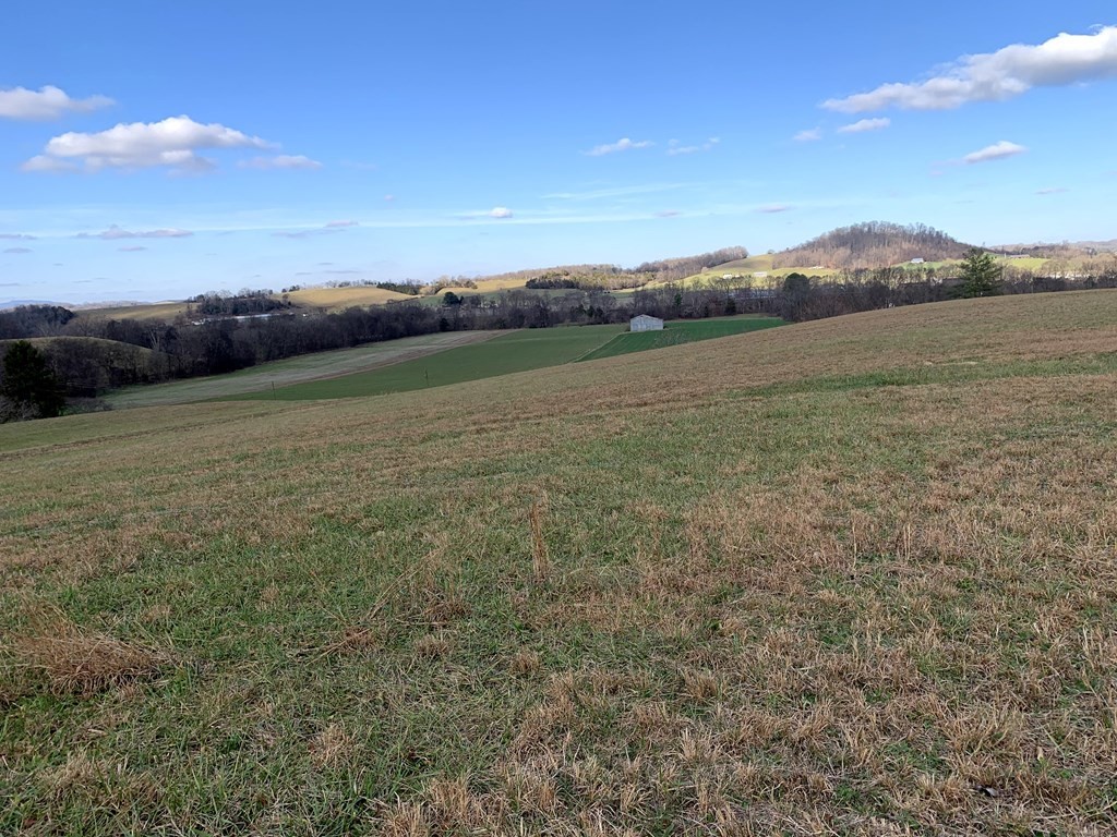 1704 Corby Bridge Road Chuckey, TN 37641 - Photo 13 of 43 a view of lake view and mountain