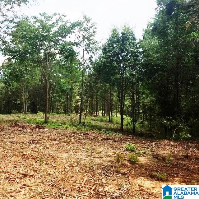 22-acres Clairmont Springs Road, Unit 22 ACRES Lineville, AL 36266 - Photo 2 of 16