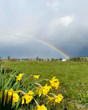 $850,000 | 637 Leitch Creek Road, Unit (+ 5AC TOUCH OF COUNTRY ESTATES), Kooskia, ID 83539