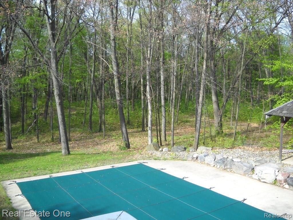 8550 Crofoot Road Fowlerville, MI 48836 - Photo 12 of 14 pool.JPG