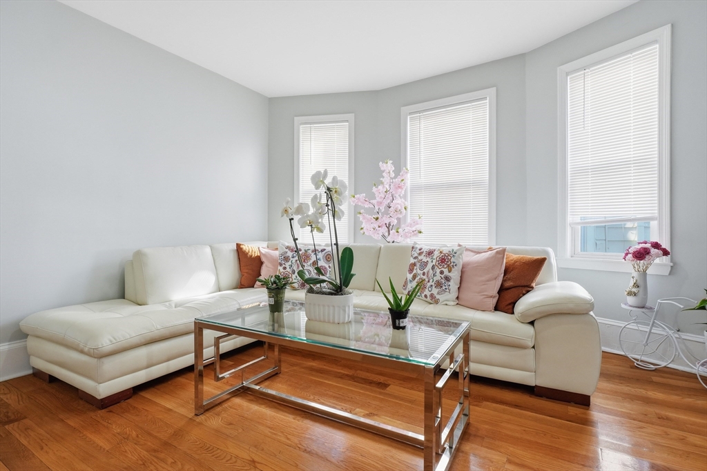 1661 North Shore Road Revere, MA 02151 - Photo 11 of 42 a living room with furniture and a potted plant