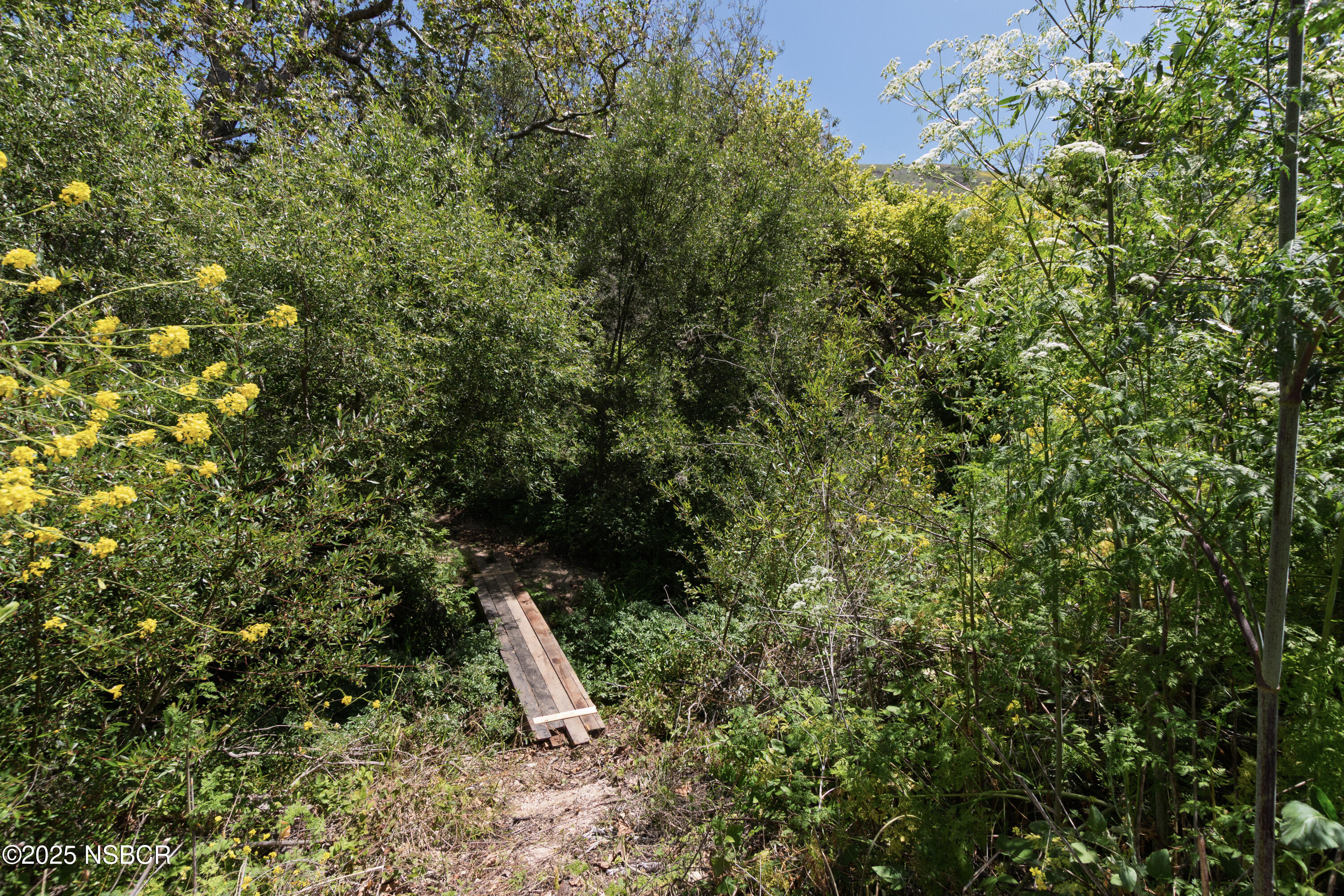 4651 Tepusquet Road Santa Maria, CA 93454 - Photo 55 of 62 15-4651 Tepusquet Rd-59