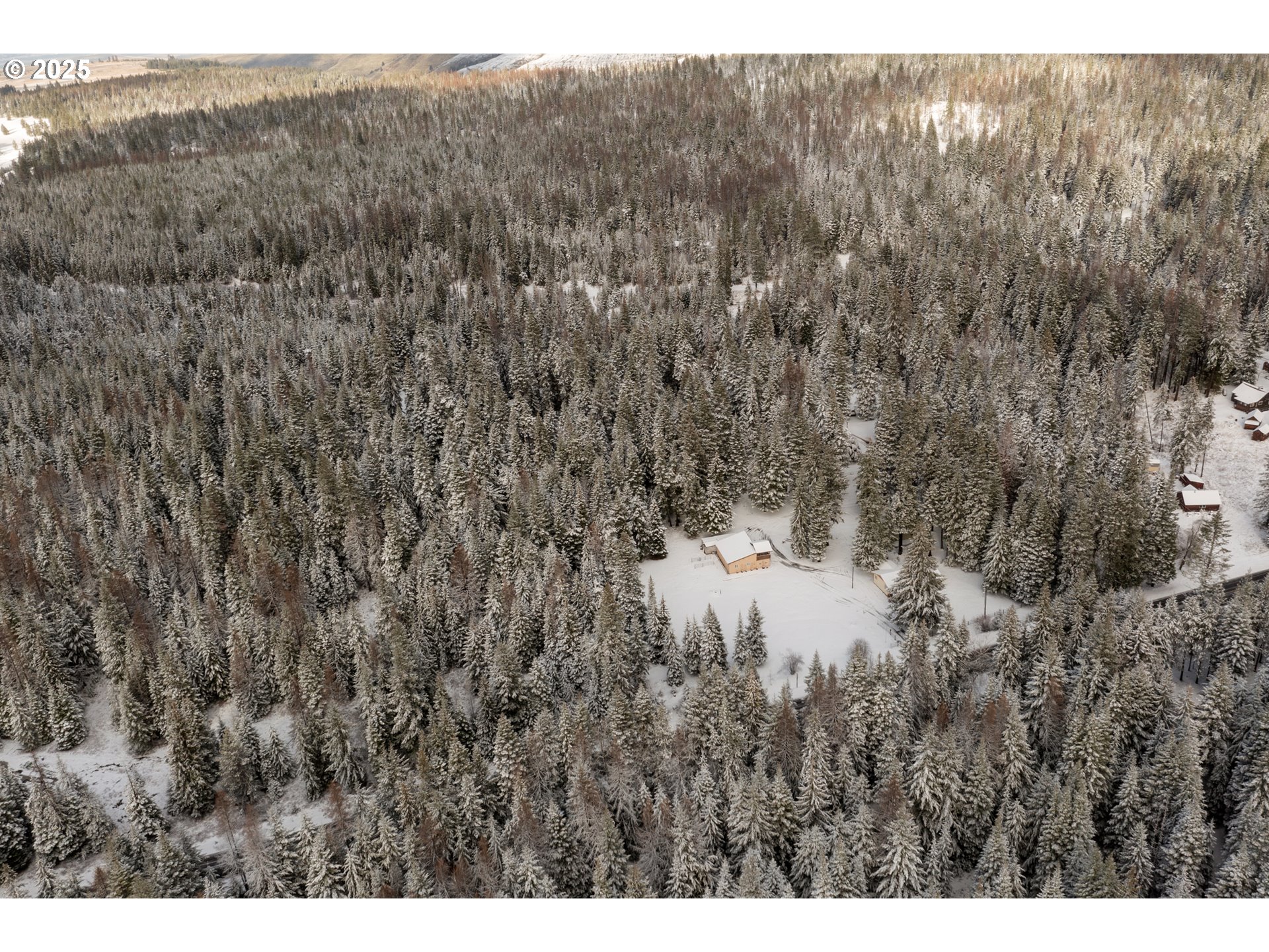 58783 Highway 204 Weston, OR 97886 - Photo 28 of 38