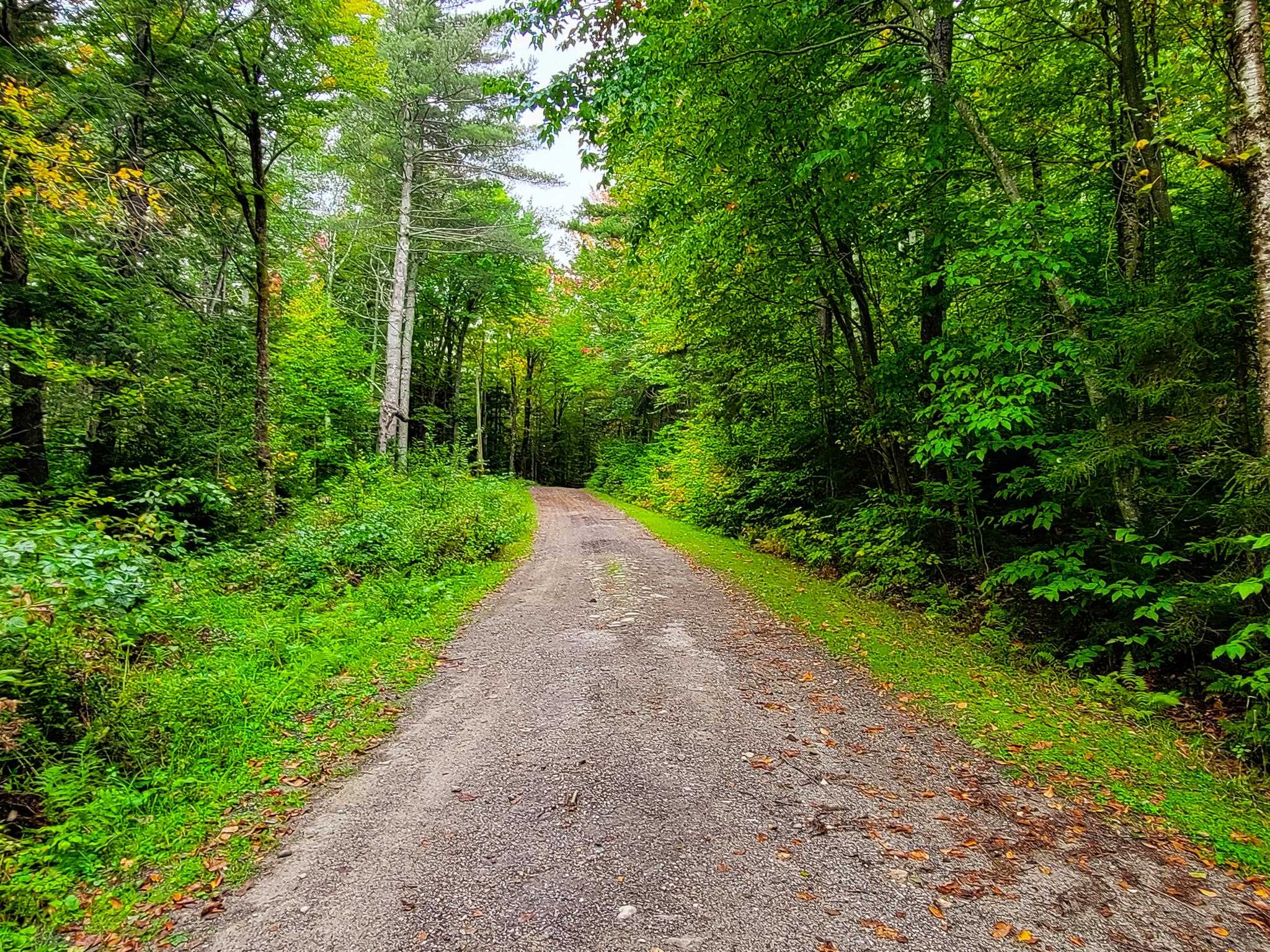 581 Saltash Road Shrewsbury, VT 05738 - Photo 39 of 40