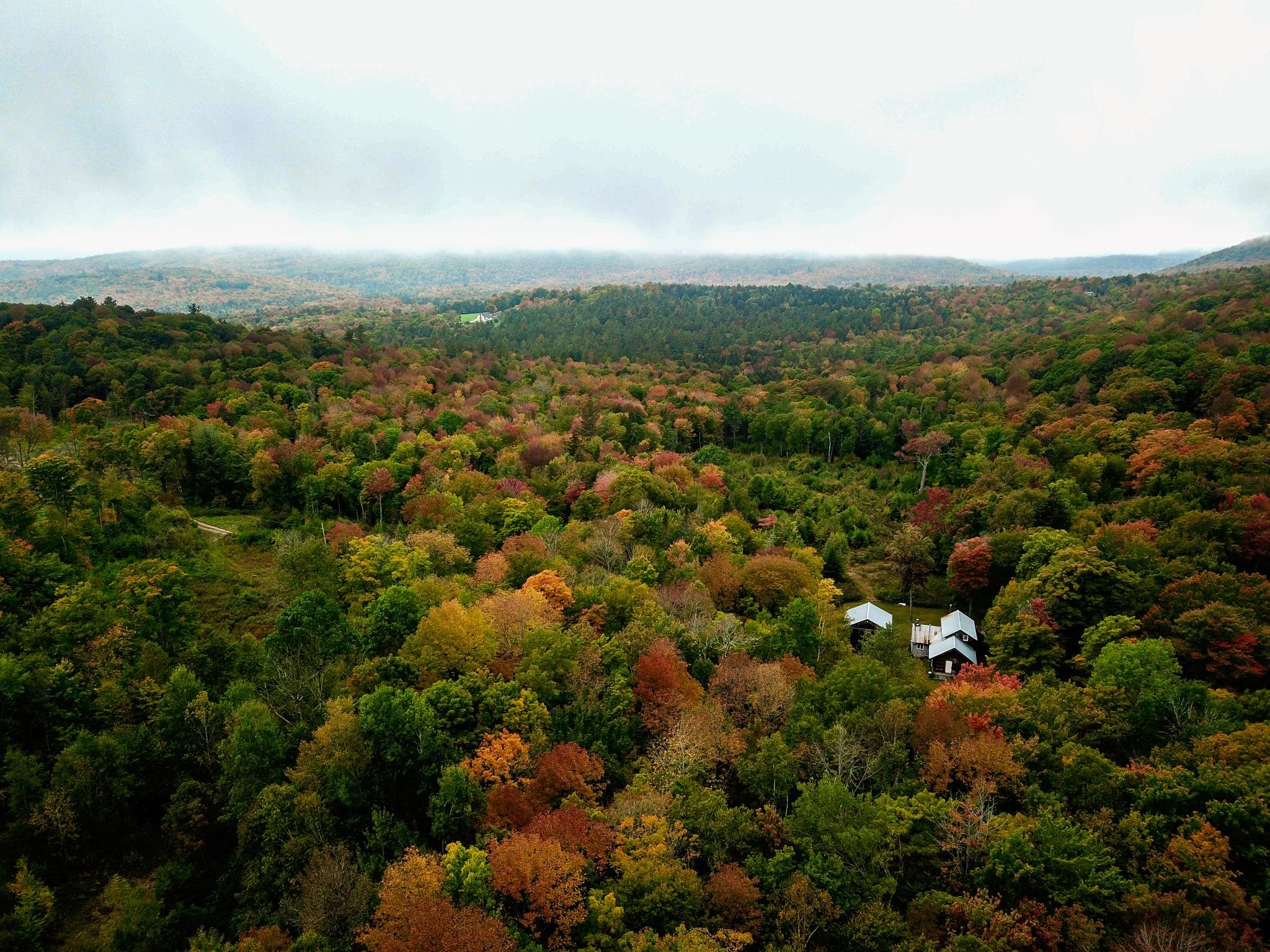 581 Saltash Road Shrewsbury, VT 05738 - Photo 40 of 40