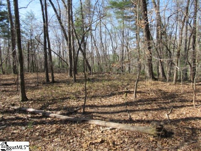 0 Pine Grove Church Road, Unit TRACT 12 Sunset, SC 29685 - Photo 2 of 24