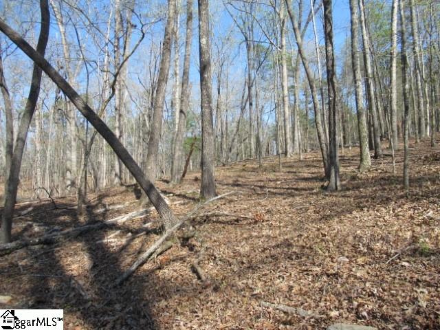 0 Pine Grove Church Road, Unit TRACT 12 Sunset, SC 29685 - Photo 11 of 24