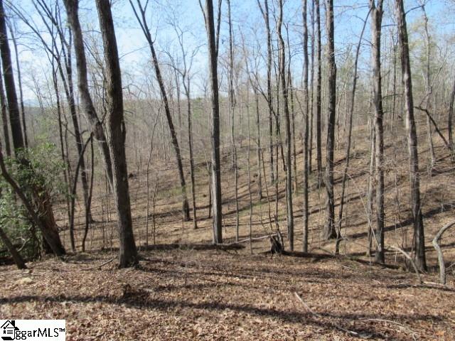 0 Pine Grove Church Road, Unit TRACT 12 Sunset, SC 29685 - Photo 12 of 24