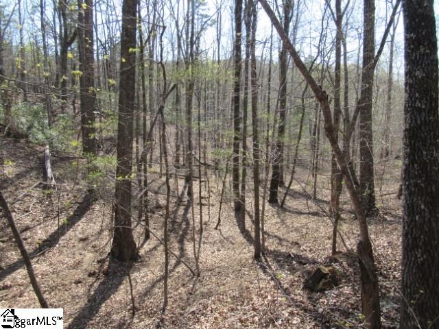 0 Pine Grove Church Road, Unit TRACT 12 Sunset, SC 29685 - Photo 13 of 24