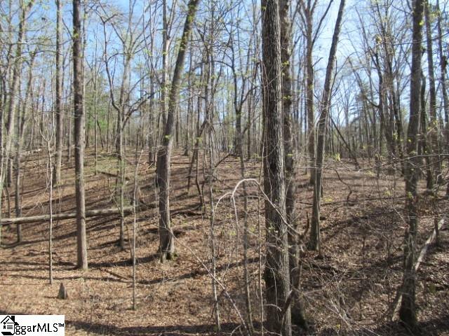 0 Pine Grove Church Road, Unit TRACT 12 Sunset, SC 29685 - Photo 14 of 24