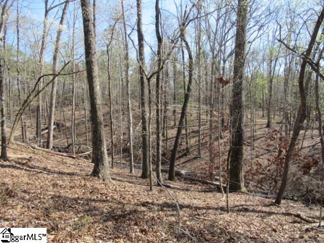 0 Pine Grove Church Road, Unit TRACT 12 Sunset, SC 29685 - Photo 15 of 24