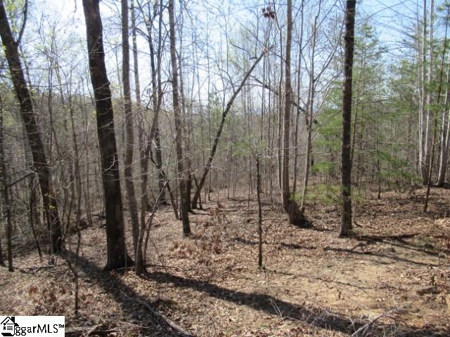 0 Pine Grove Church Road, Unit TRACT 12 Sunset, SC 29685 - Photo 16 of 24