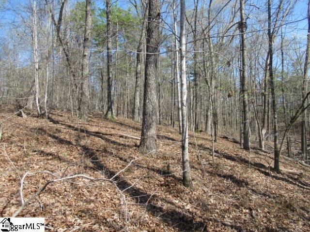 0 Pine Grove Church Road, Unit TRACT 12 Sunset, SC 29685 - Photo 17 of 24