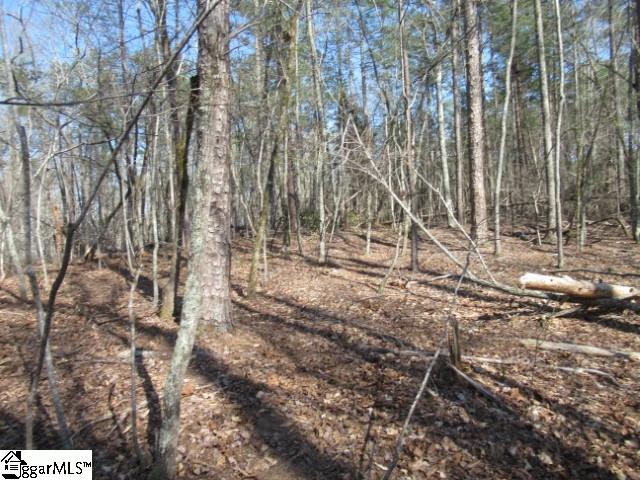0 Pine Grove Church Road, Unit TRACT 12 Sunset, SC 29685 - Photo 18 of 24