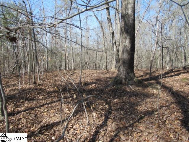 0 Pine Grove Church Road, Unit TRACT 12 Sunset, SC 29685 - Photo 19 of 24