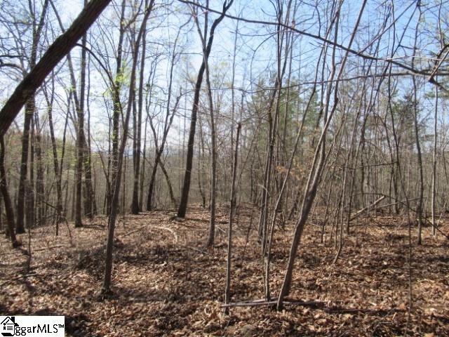 0 Pine Grove Church Road, Unit TRACT 12 Sunset, SC 29685 - Photo 20 of 24