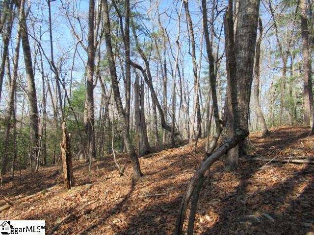 0 Pine Grove Church Road, Unit TRACT 12 Sunset, SC 29685 - Photo 3 of 24