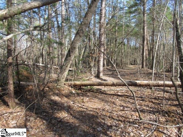 0 Pine Grove Church Road, Unit TRACT 12 Sunset, SC 29685 - Photo 21 of 24