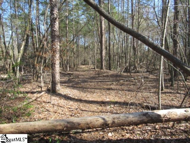 0 Pine Grove Church Road, Unit TRACT 12 Sunset, SC 29685 - Photo 22 of 24