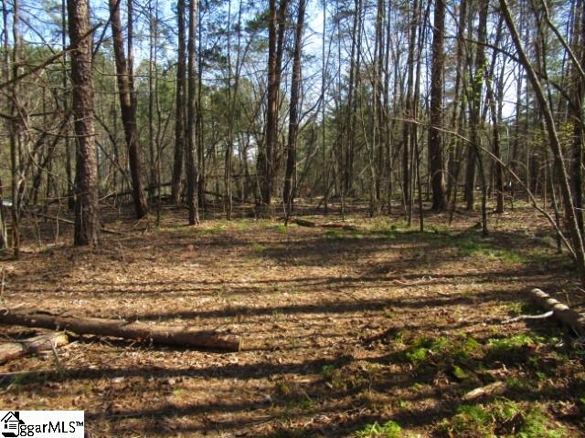 0 Pine Grove Church Road, Unit TRACT 12 Sunset, SC 29685 - Photo 23 of 24